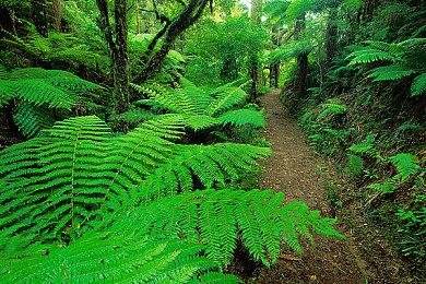 《不朽者传奇》圣地亚哥国际动漫展剧情动画